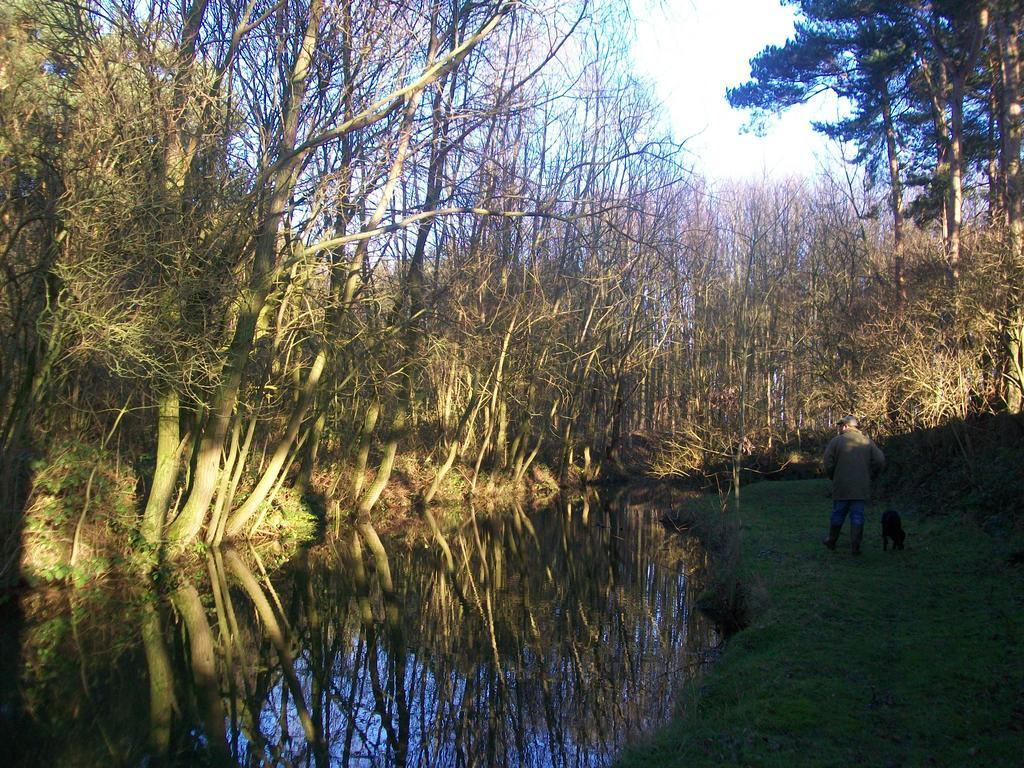 Elmfield House Hotel Bedale Bagian luar foto